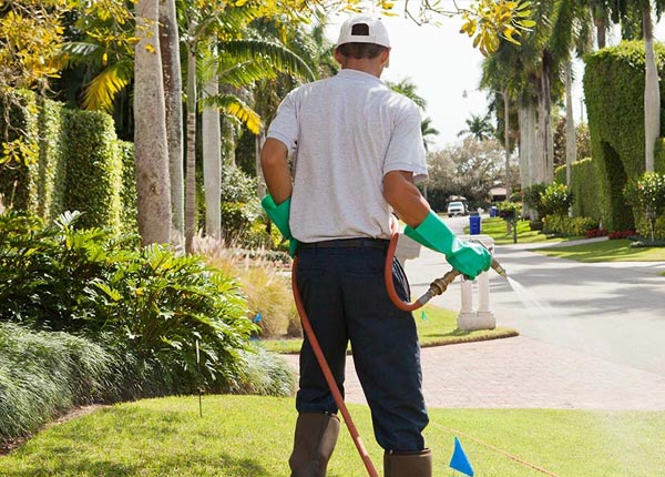 About Weed CA Pest Control